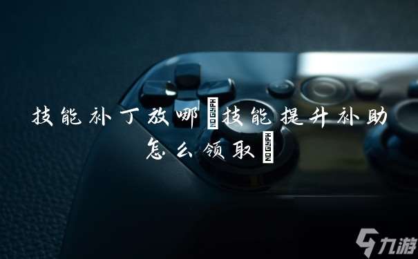 技能补丁放哪 技能提升补助怎么领取