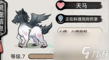 不一樣修仙2寵物培養推薦