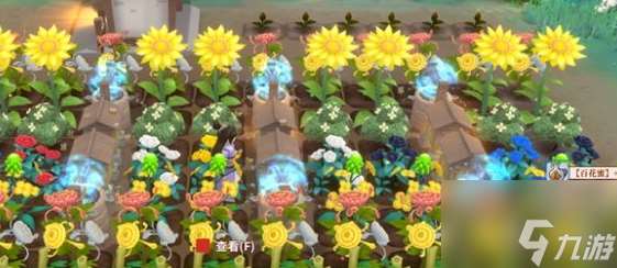 一方灵田百花蜜种植介绍 具体介绍