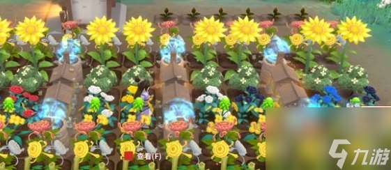 一方灵田百花蜜种植介绍 具体介绍