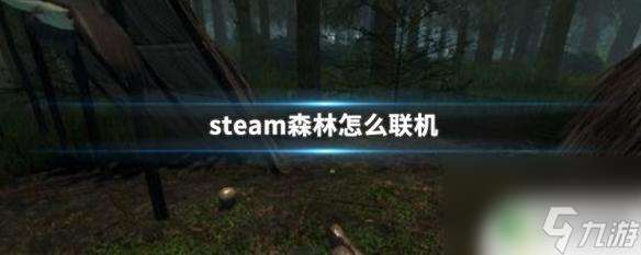 正版森林steam联机教程 Steam森林联机模式操作指南