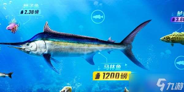 歡樂釣魚大師攻略大全 新手入門速成技巧