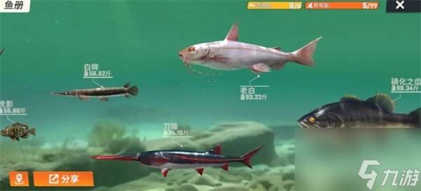 歡樂釣魚大師圖鑒最后一條魚長什么樣 歡樂釣魚大師全部魚類圖鑒攻略