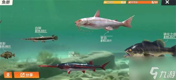歡樂釣魚大師魚類圖鑒大全 歡樂釣魚大師全部種類的魚圖鑒介紹