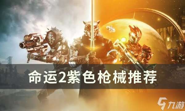 命运2紫色武器选择