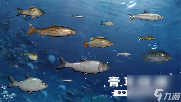 天天钓鱼水族馆收入攻略