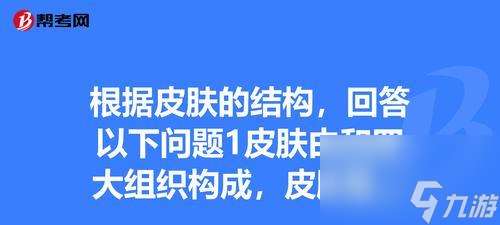 人体工厂 以游戏为主