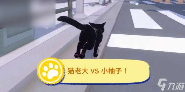 小猫咪大城市猫老大VS小柚子成就攻略