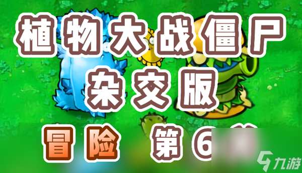 《植物大战僵尸杂交版》冒险第6关怎么过