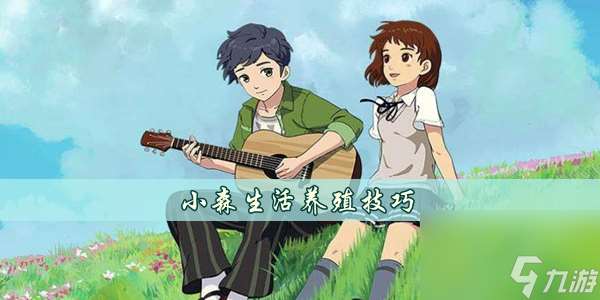 小森生活養殖技巧
