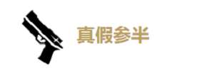 【技能介紹】