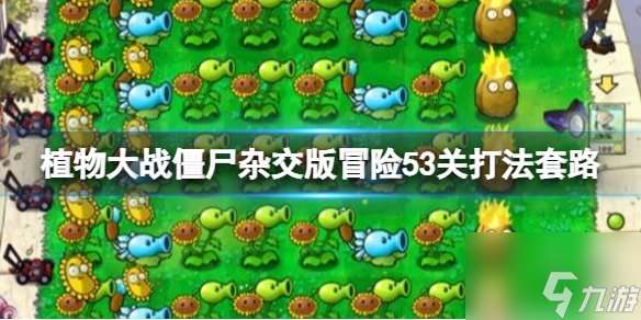 植物大战僵尸杂交版冒险模式53关打法 pvz杂交版53关怎么过