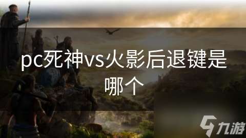 pc死神vs火影后退键是哪个