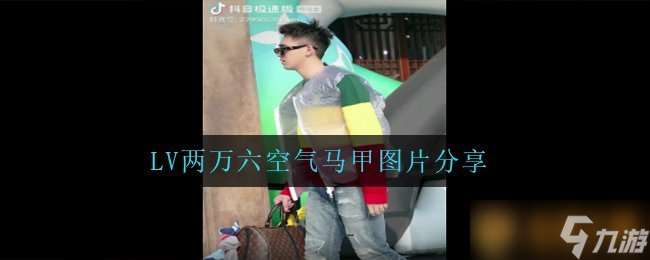 LV两万六空气马甲图片推荐