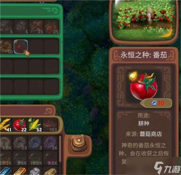 露玛岛优先种植的10种农作物有什么