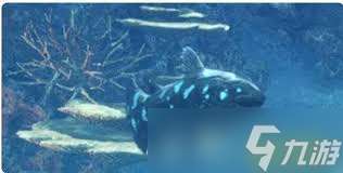 怪物猎人荒野化石腔棘鱼垂钓在哪里在哪