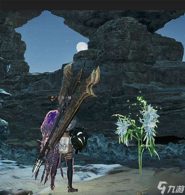 《怪物獵人荒野》更新后刷一夜花的月華粉教程 更新后怎么刷月華粉