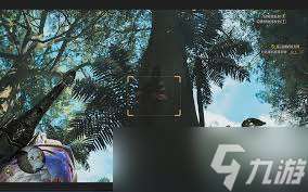 怪物猎人荒野瑰宝怎么捕捉金龟子