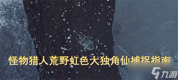 怪物猎人荒野虹色大独角仙捕捉指南