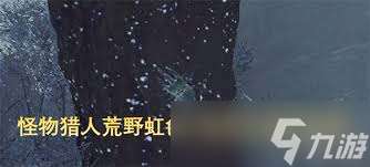 怪物獵人荒野虹色大獨(dú)角仙在哪里及怎么捕獲