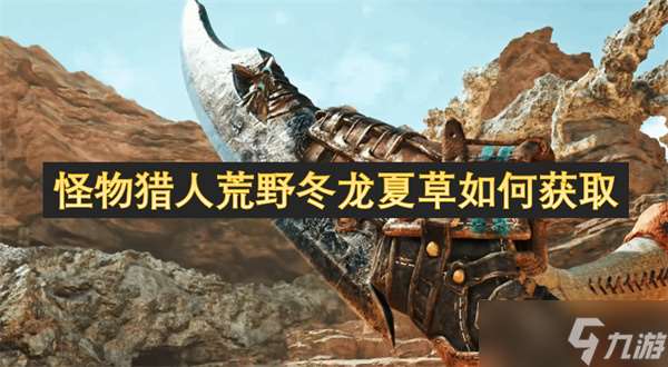 怪物獵人荒野冬龍夏草怎么獲取