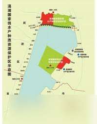 金墾小鎮釣魚地點有什么