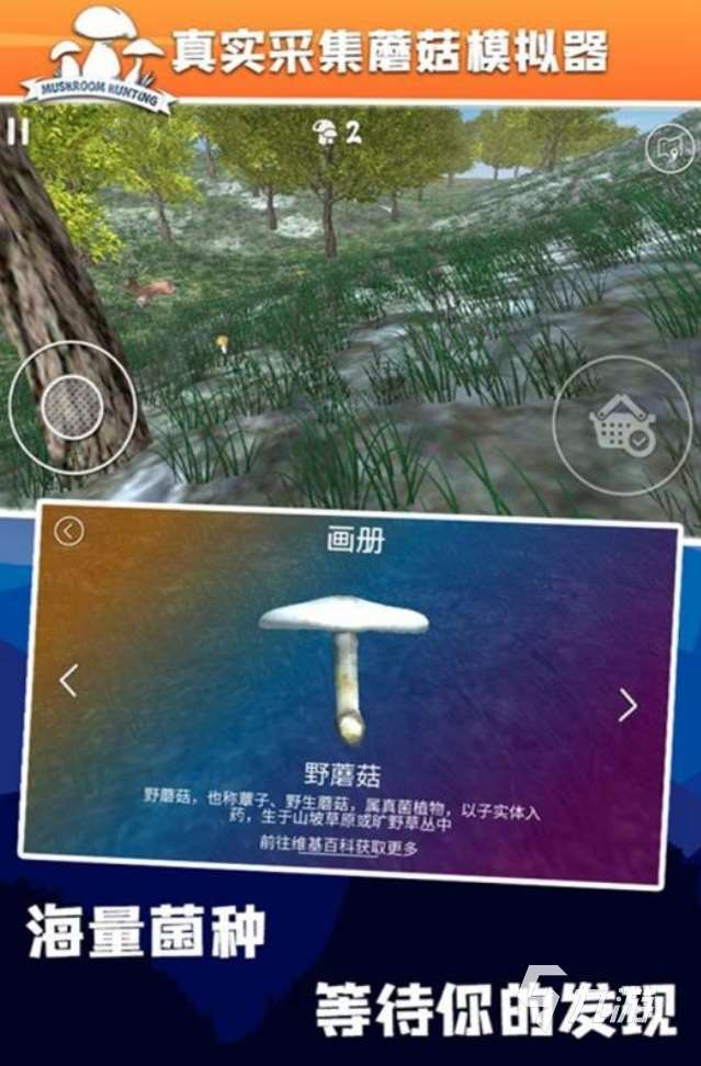 有意思的采蘑菇游戲盤點 2025好玩的采蘑菇手游推薦