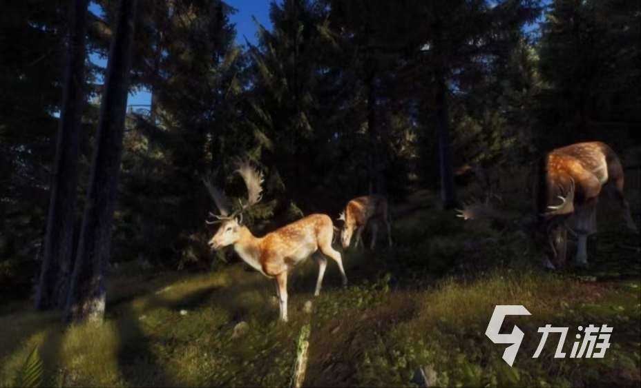 獵人之路下載最新鏈接在哪 獵人之路中文版下載地址分享