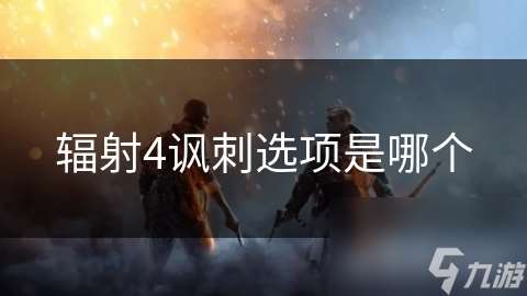 辐射4讽刺选项是哪个