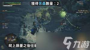 怪物獵人荒野苦蟲高效刷取路線有什么