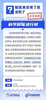 榴蓮果皮變黃代表成熟可食用嗎