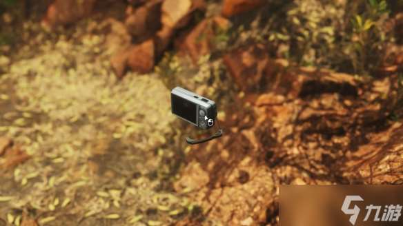 徒步旅行攝影游戲《Lushfoil Photography Sim》現(xiàn)已上線