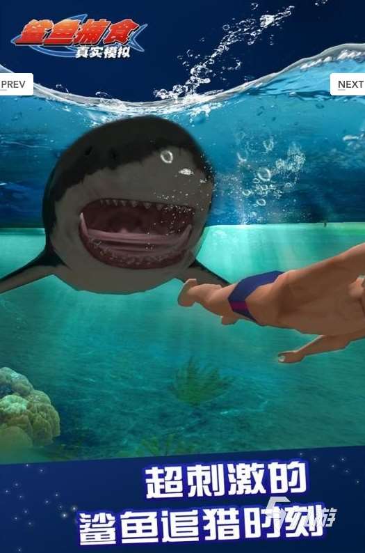 受歡迎的鯊魚游戲推薦 2025人氣較高的鯊魚游戲去哪里下載