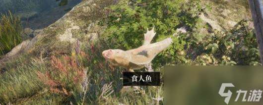 《上古卷軸4 湮滅重制版》任務避坑指南推薦