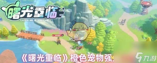 《曙光重臨》橙色寵物強度排行