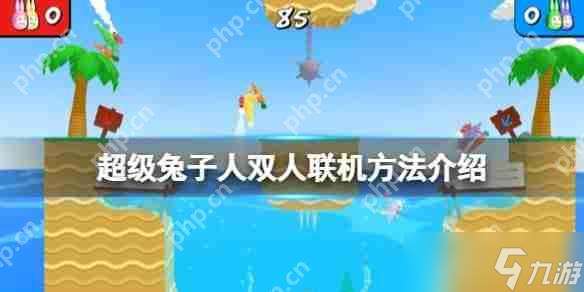 瘋狂兔子人怎么聯(lián)機-瘋狂兔子人雙人聯(lián)機攻略