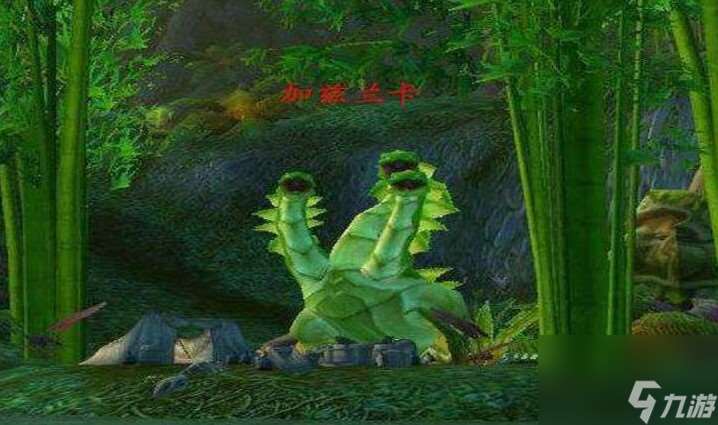 加兹兰卡介绍介绍
