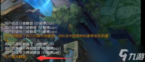 英雄聯盟自我靜音代碼是什么 自我靜音代碼介紹