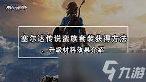 震驚 塞爾達橡膠套裝獲取全攻略，套裝在哪里大
