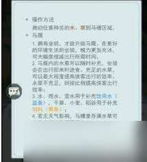這就是江湖里的坐騎有什么用