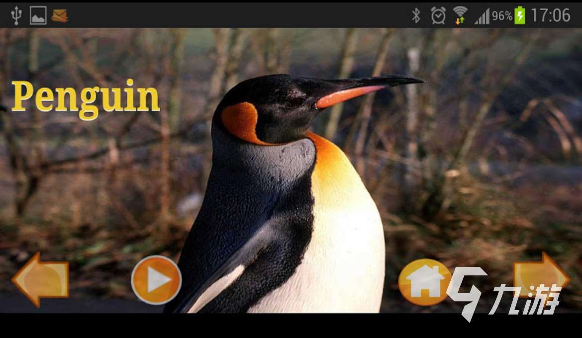2025好玩的動物世界游戲推薦榜 和動物相關(guān)的游戲有哪些