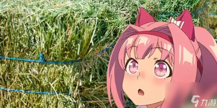 給系統干崩潰了 《賽馬娘》春烏拉拉被粉絲送2噸牧草