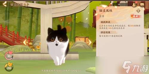 忘川風華錄怎么捉貓