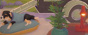 小小书店Maryam回忆怎么收集