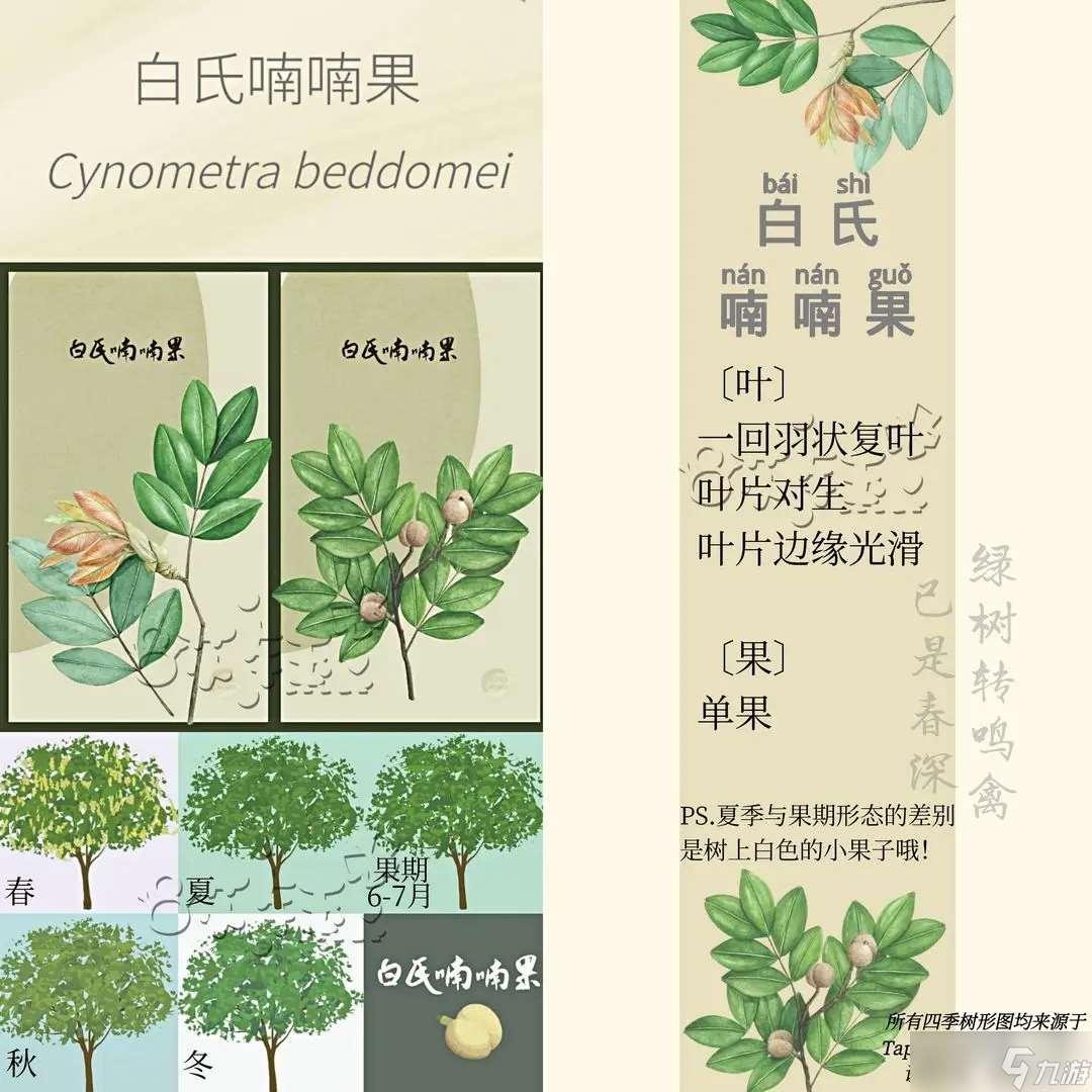 老農種樹游戲四季樹種答案 附圖